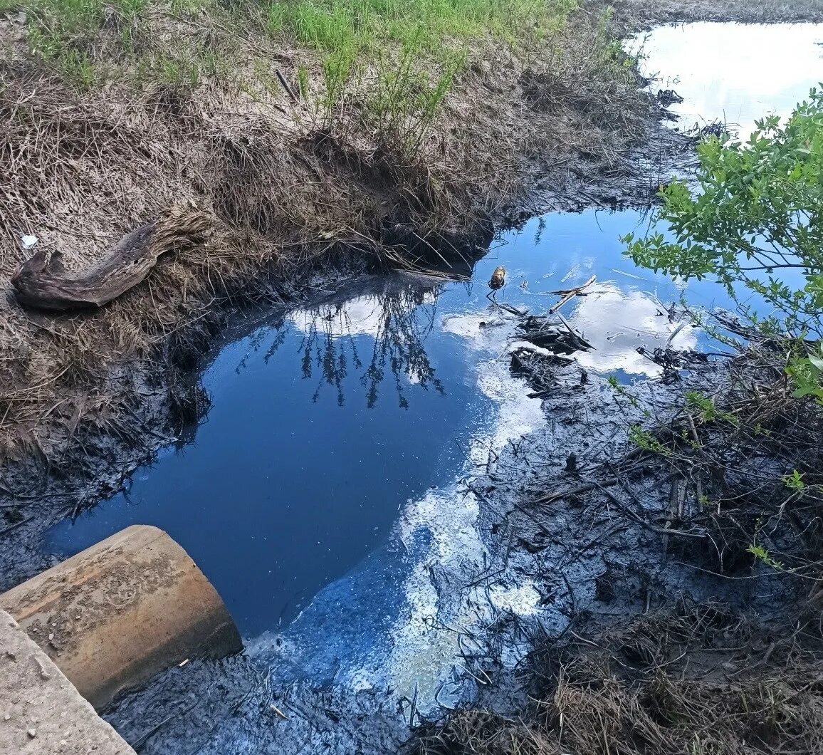 Загрязненный ручей. Водный объект ручей. Загрязненные водоемы. Загрязненные родники. Загрязненный ручей.