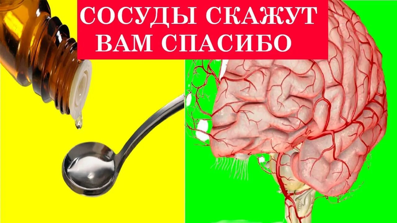 Сосуды головного мозга лечение народными. Средство от сужения сосудов головы. От сужения сосудов головного. Сужение сосудов головного мозга. 25 Капель от сужения сосудов головного мозга.