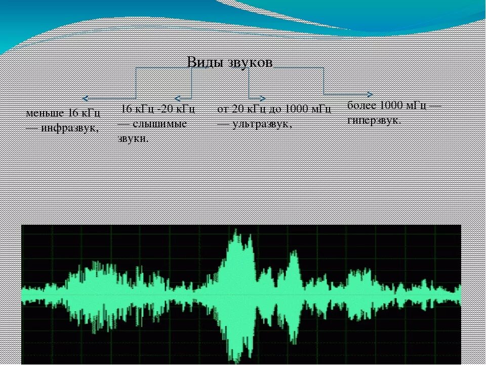 График инфразвук и ультразвук. Звуковые волны инфразвук. Частоты инфразвук ультразвук. Ультразвуковые частоты. Частота звука мыши