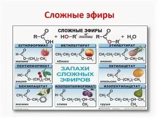 Эфир содержать. Сложные эфиры цветы формула. реакция получения сложных эфиров 10 класс. сложные эфиры таблица формул. сложные эфиры запахи и формулы.