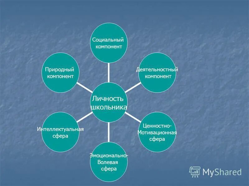 составляющие интеллектуальной сферы личности. развитие интеллектуальной сферы. познавательно-интеллектуальная сфера личности. модель личности. сферы личности дошкольника.