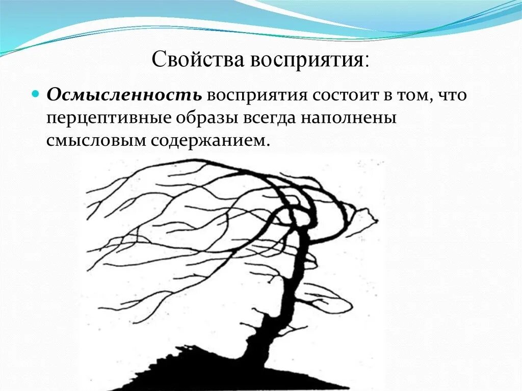 Свойства восприятия обобщенность. Осмысленность восприятия. Свойства восприятия структурность. Свойства восприятия осмысленность.