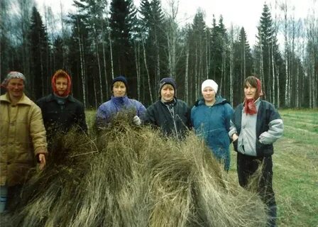 Погода в теплогорье на 10