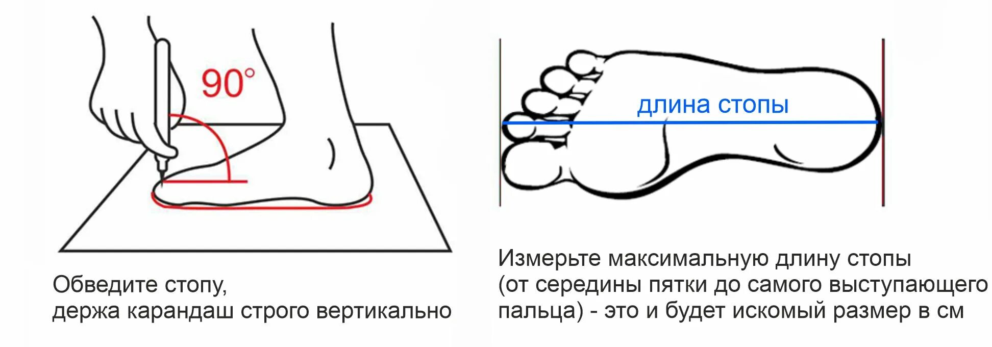 Как померить размер обуви. Как правильно замерить стопу для определения размера. Измерить длину стопы. Замер стопы для обуви. Схема измерения стопы.