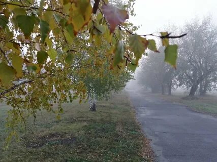 Когда в одоеве 10 утра в барнауле