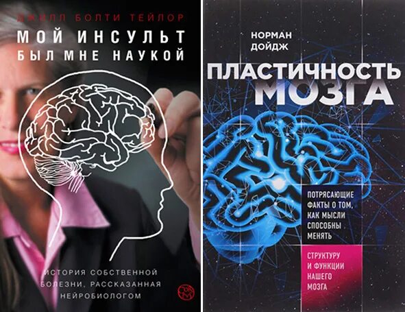 Нейропластичность мозга книга. Пластичность мозга. Книга мой инсульт был мне наукой. Пластичный мозг