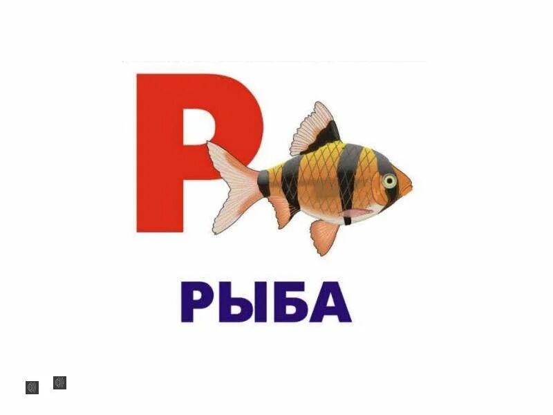 Слова рыба 11