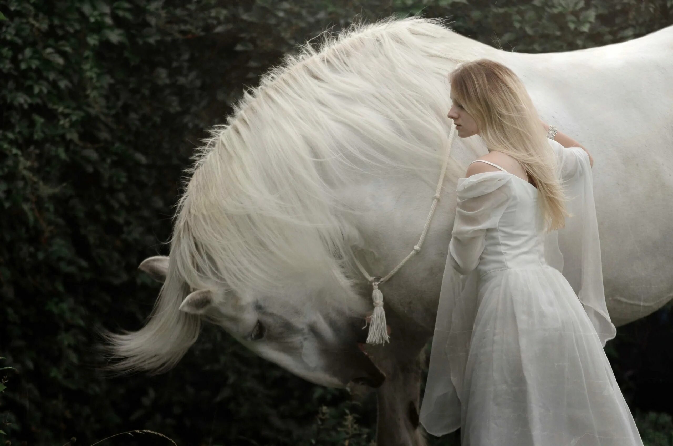 К чему снится красивые длинные. Девушка и белая лошадь. Девушка с лошадью. Девушка с белым конем. Женщина на белом коне.