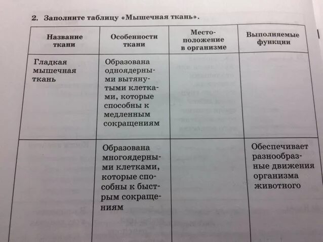 Источник хрящевой ткани