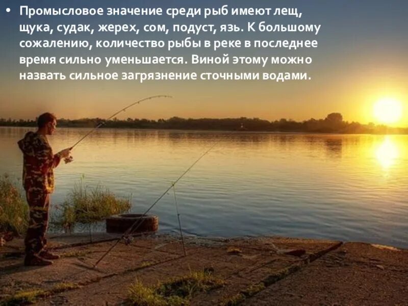 Места на оке в озерах. Рыбалка на оке. Сплав по реке ока на сапе. Таруса пляж на оке. Отдых с рыбалкой на оке недорого.