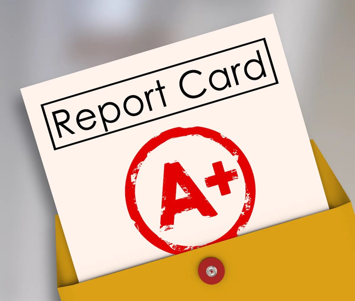 Report Card. Rapport Card картинка. American Report Card. Report Card f-. F report