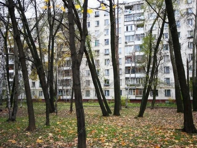 Анадырский проезд дом 1. Анадырский проезд 47к1. анадырский проезд 47 к 2. анадырский проезд 47к1 площадка для собак. анадырский проезд 55.