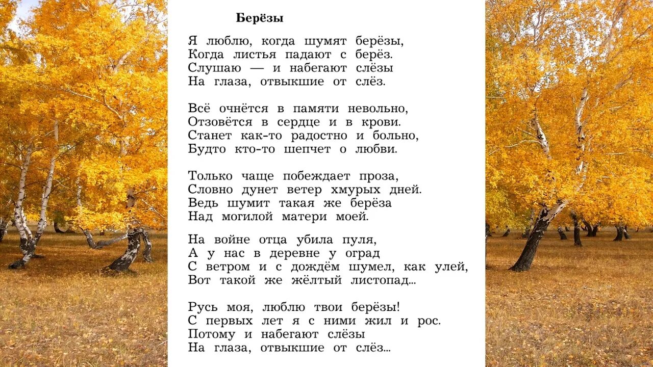 Рубцов березы 4 класс. Рубцов береза 4 класс стихотворение. Стихотворение рубцова 4 класс