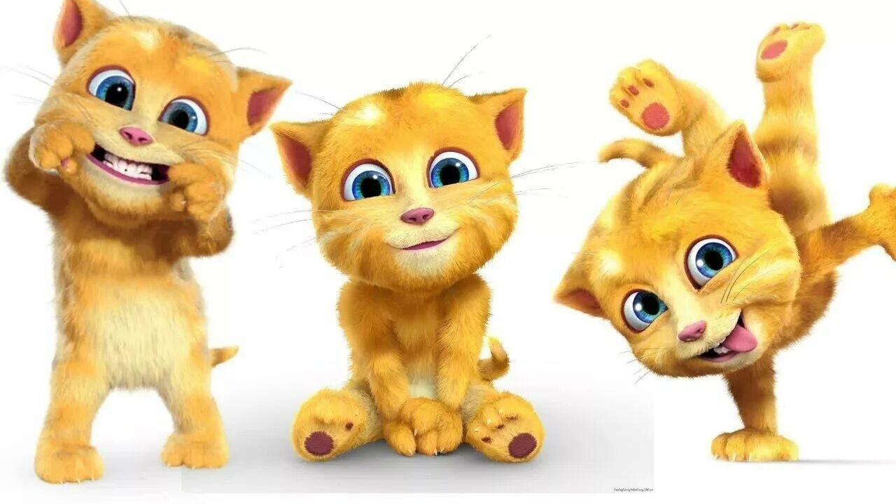 Джинджер кот. Talking Tom Джинджер. Говорящий том и друзья Джинджер. Джинджер кот том.