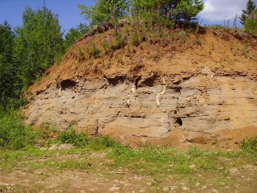 песчаник глинистый. камень пластушка. песчаник аргиллит известняк. глины песчаники. глины песчаники.