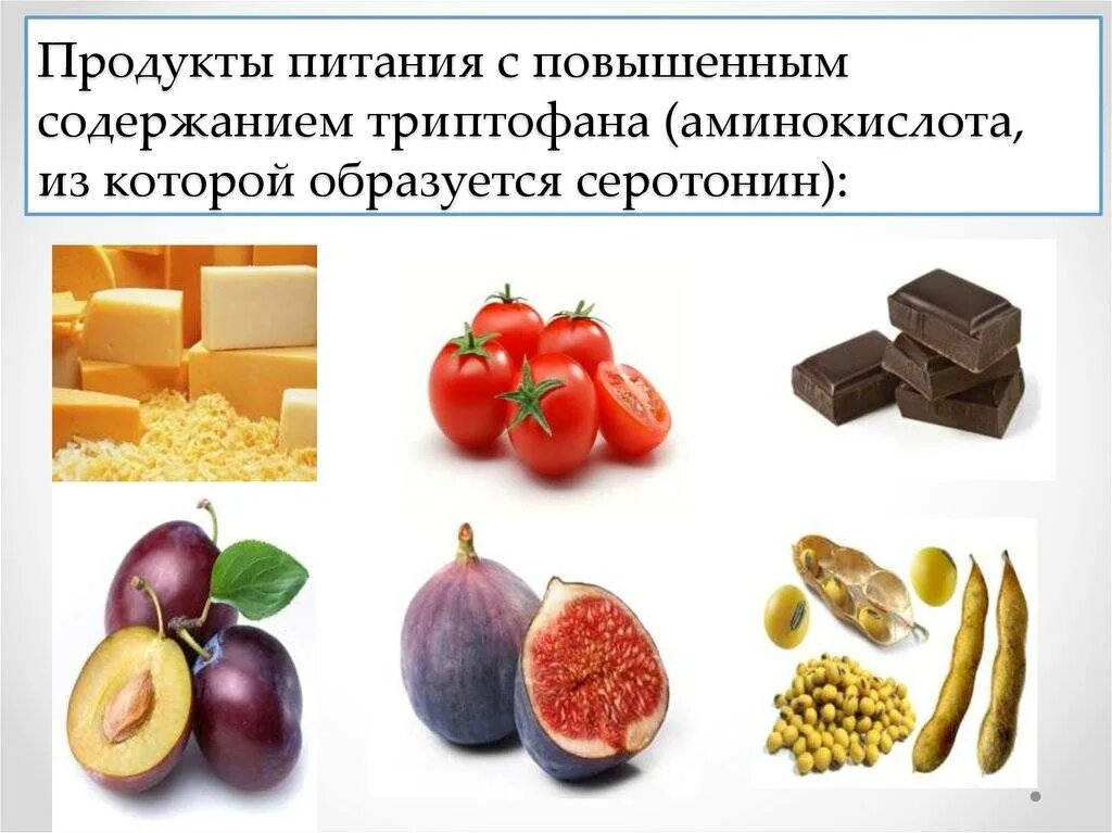 В каких продуктах содержится дофамин. Серотонин в продуктах. триптофан в продуктах питания. продукты содержащие серотонин. продукты содержащие триптофан.