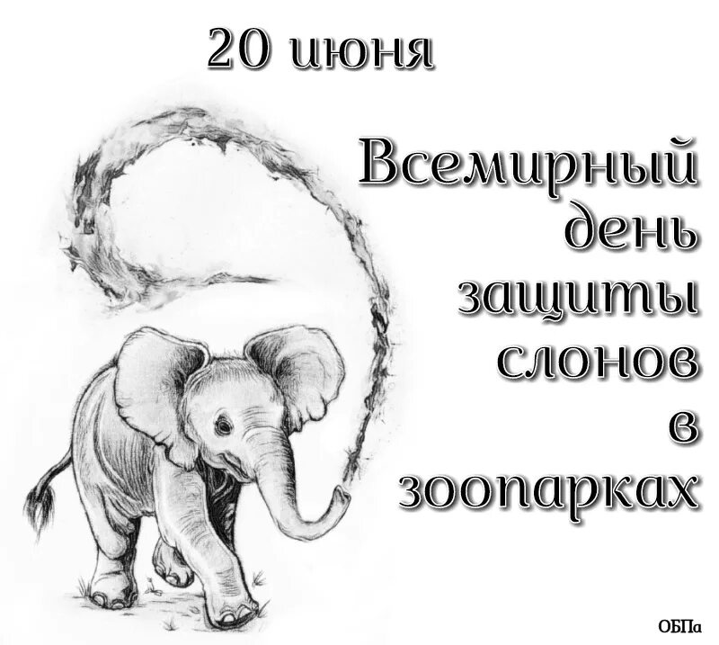 Всемирный день защиты слонов. Всемирный день защиты слонов в зоопарках. Всемирный день защиты слонов 20 июня. 20 Июня Всемирный день защиты слонов в зоопарках. 20 июня 2017