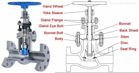 1. Plug Valve or Globe Valve. 