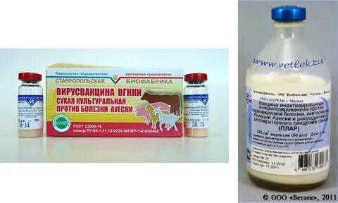 Рожа свиней инструкция по применению