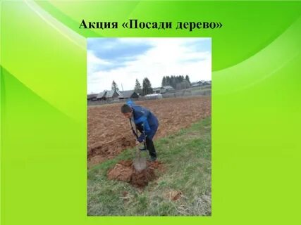 Посадка цель