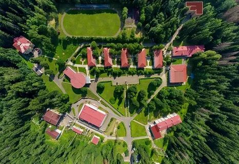 Лесной отель подмосковье солнечногорский