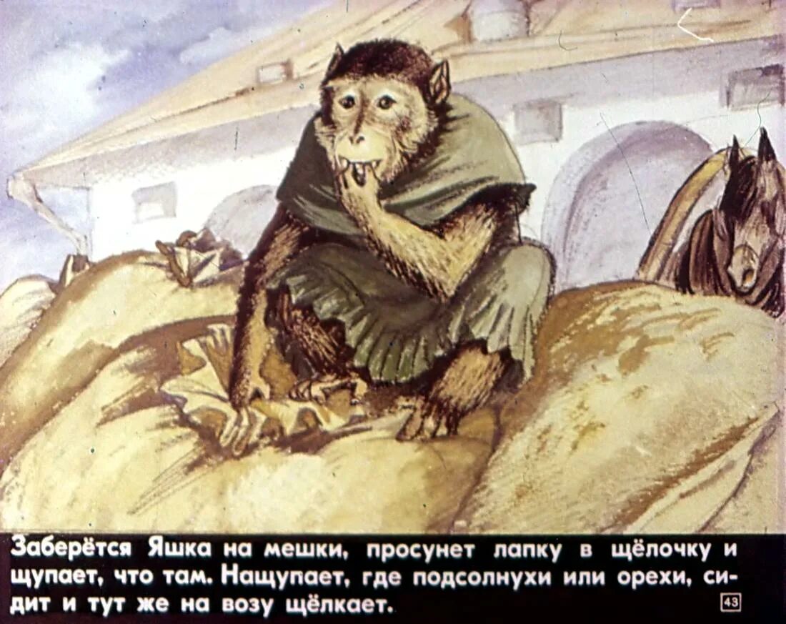 Иллюстрация к произведению б Житкова про обезьянку. Б Житков про обезьянку. Текст жидкова про обезьянку