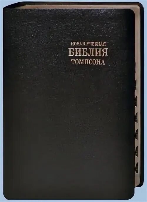 Женевская библия с комментариями. Новая учебная библия. Женевская библия. Новая учебная женевская библия. Новая учебная библия.