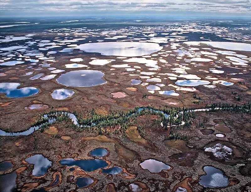 Воды тундры в россии. Термокарстовые озер Ямала. Озеро Нейто Ямал. Тундра полуостров Ямал. Озера полуострова Ямал.