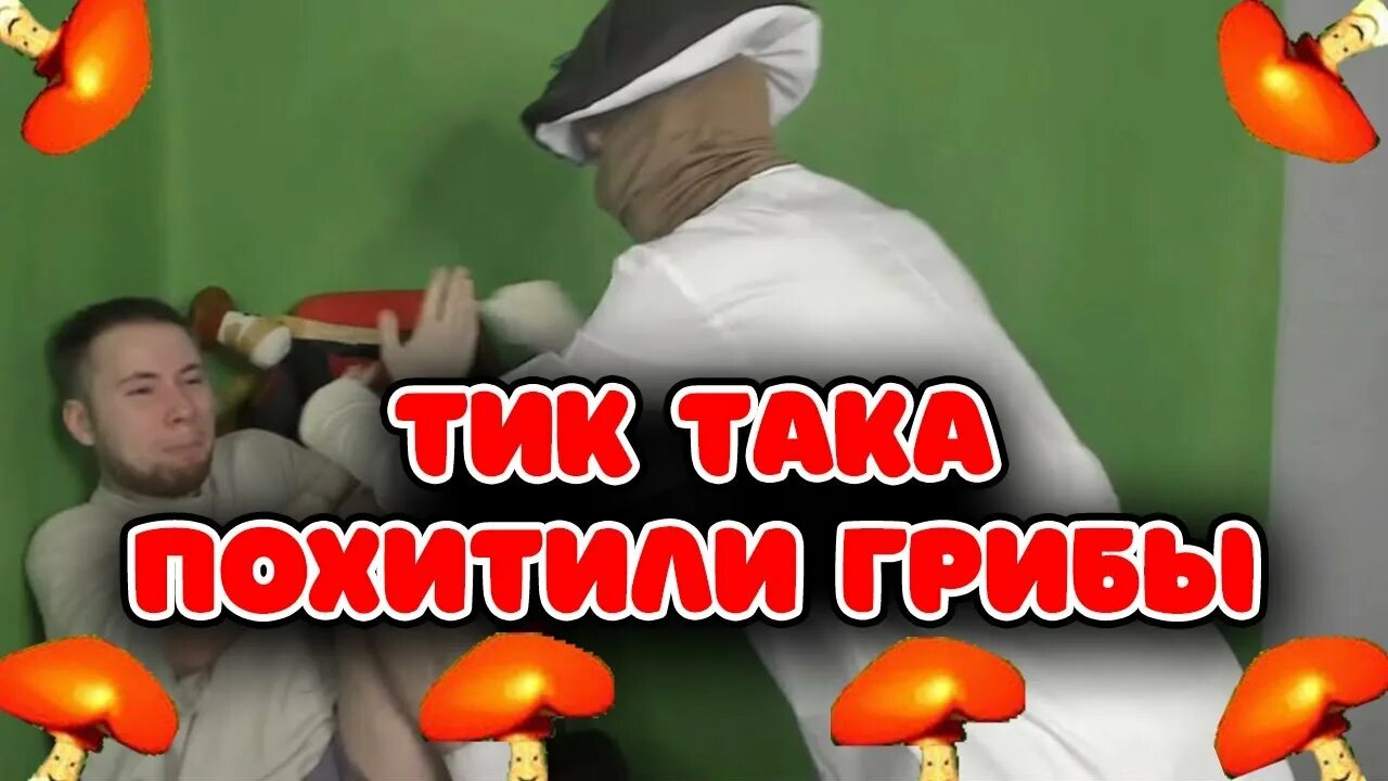 Тик так грибочки. Папа гриб тик так. Грибы тик така Шляпида. Гриб тик така