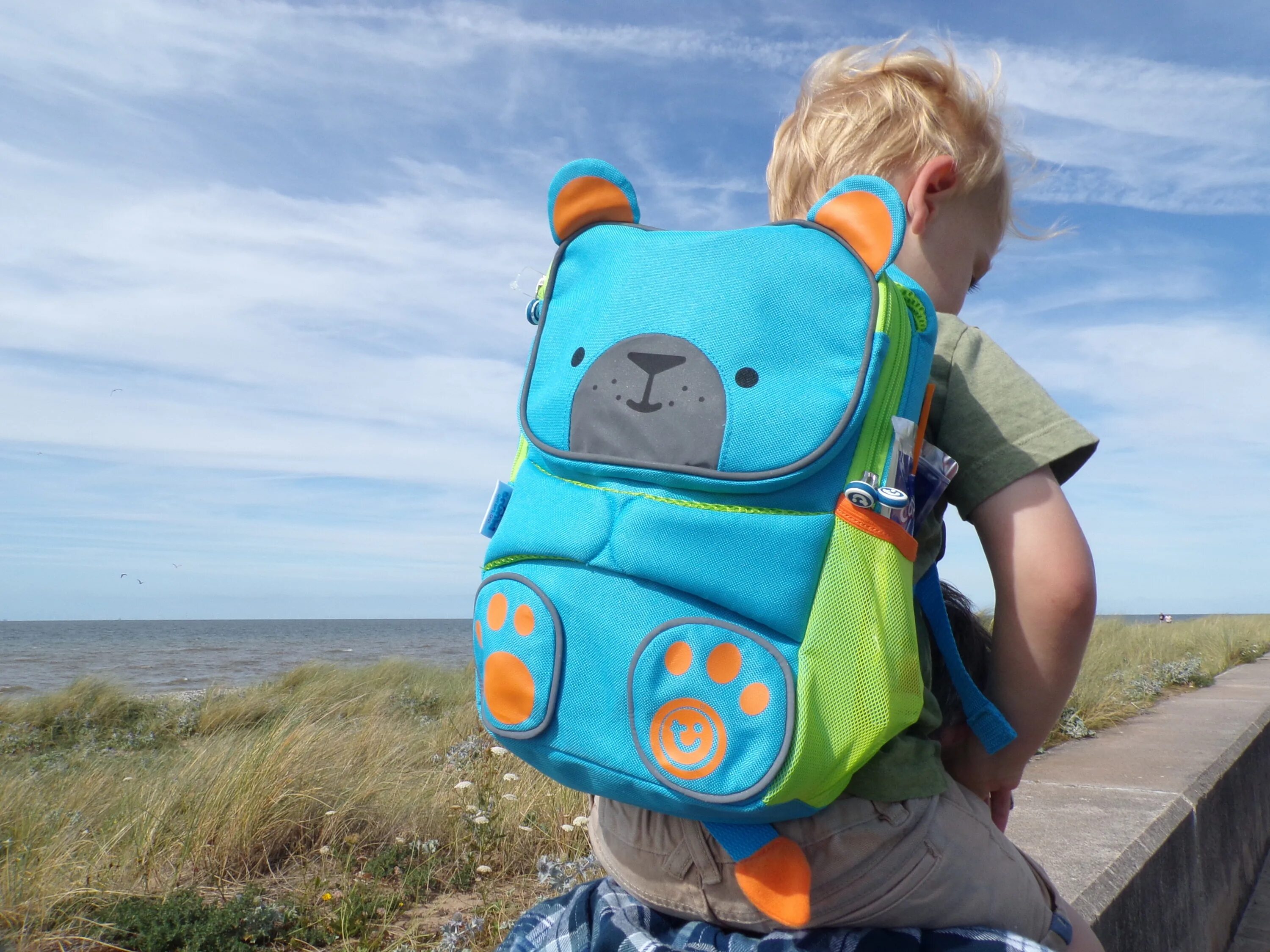 Рюкзак для путешествий самолетом. Trunki рюкзак. Голубой рюкзак детский Toddlepak Берт. Рюкзак Trunki детский. Trunki Toddlepak Львенок.