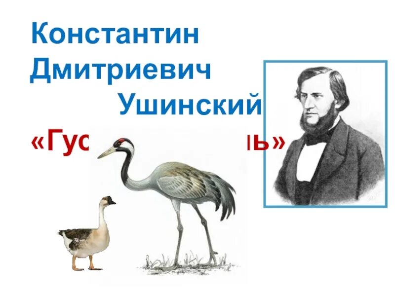 Гусь и журавль Ушинский. Сказка Гусь и журавль Ушинский. К. Ушинского "Гусь и журавль.