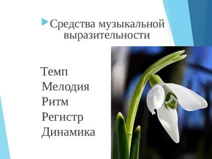 Средства выразительности мелодия ритм