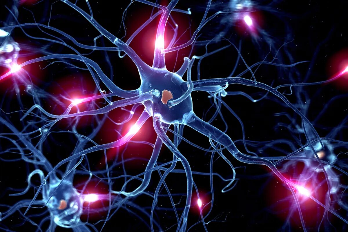 Осуществляет связь между нейронами какой нейрон. Нейрон клетка головного мозга. Нервная система Нейрон. Синапсы мозга. Нервный Импульс в нейронах.