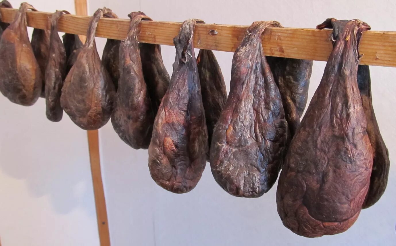 Бобр струя бобра. Бобровая струя. Бобр струя бобра. Бобровая струя. Бобр струя бобра.