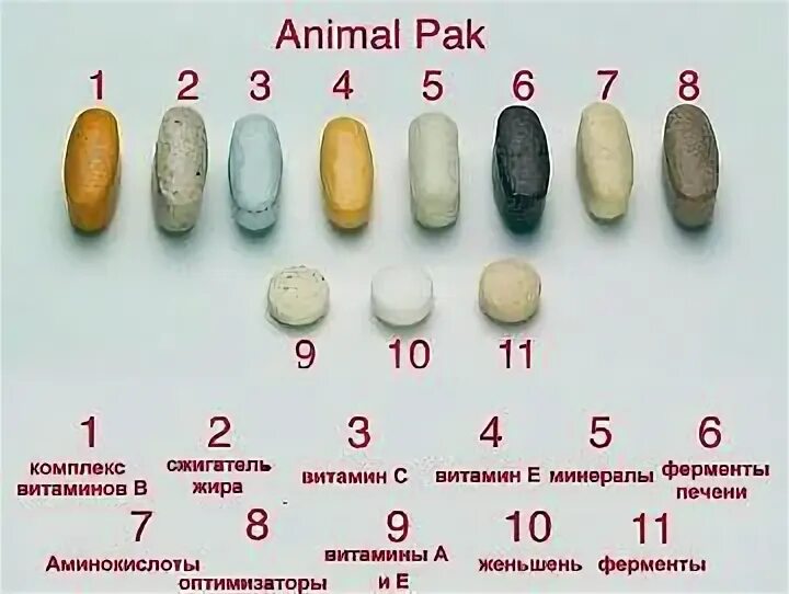 Animal pak таблетки отзывы. Витаминно-минеральный комплекс animal Pak состав. Animal Pak состав каждой таблетки. Анимал пак 44 пакетика состав.