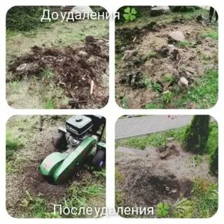 И маленький пенек опрокидывает большой