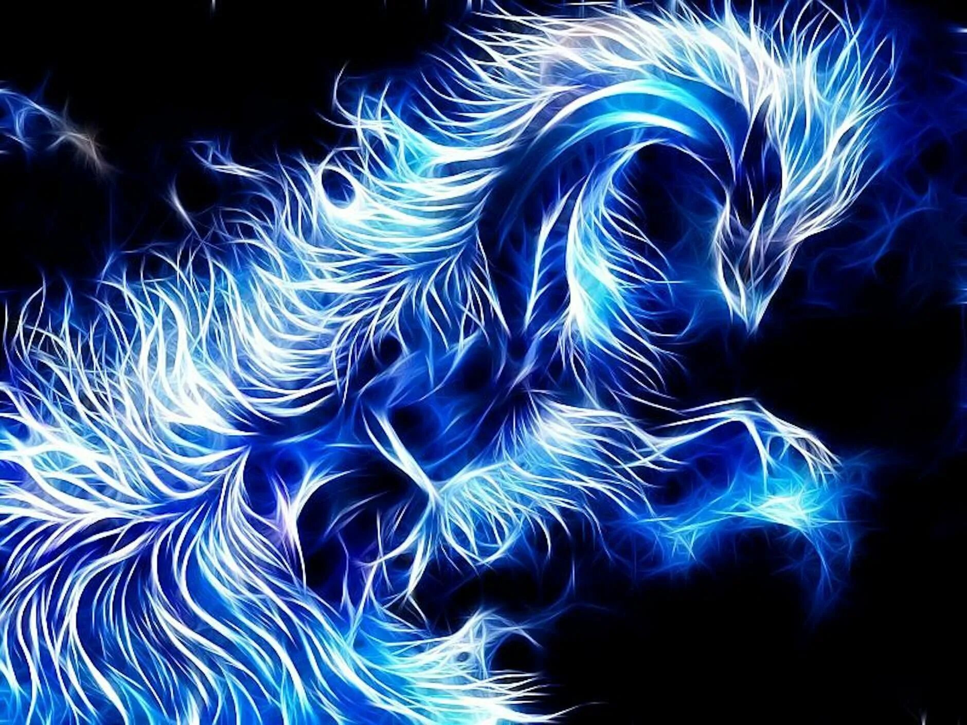 Красивые картинки на телефон дракон. Синий огонь. Синий дракон. Дракон на синем фоне. Неоновый дракон.