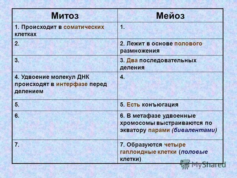 Тест по мейозу 10 класс. Митоз и мейоз. Митоз основные процессы. Лежит в основе размножения митоз. Деление клетки митоз и мейоз.