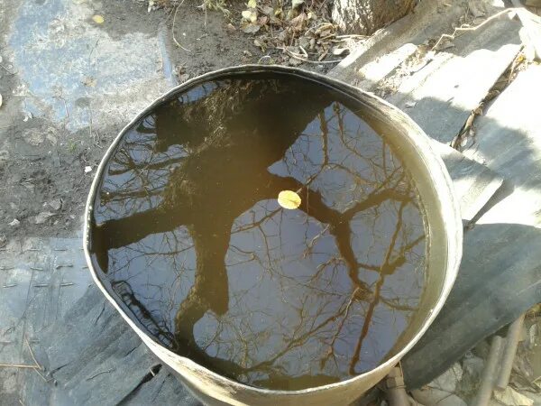 Замерзла вода в бочке. Вода в бочке. Бочка для воды. Живность в бочке с водой. Отражение в бочке с водой.