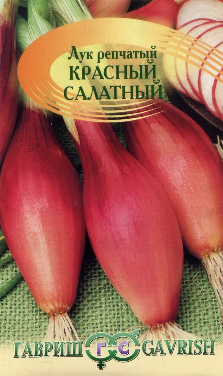 Красный салатный. Лук шалот изумруд гавриш. Лук репчатый красный. Лук красный салатный гавриш. Лук на зелень репчатый красный салатный,.