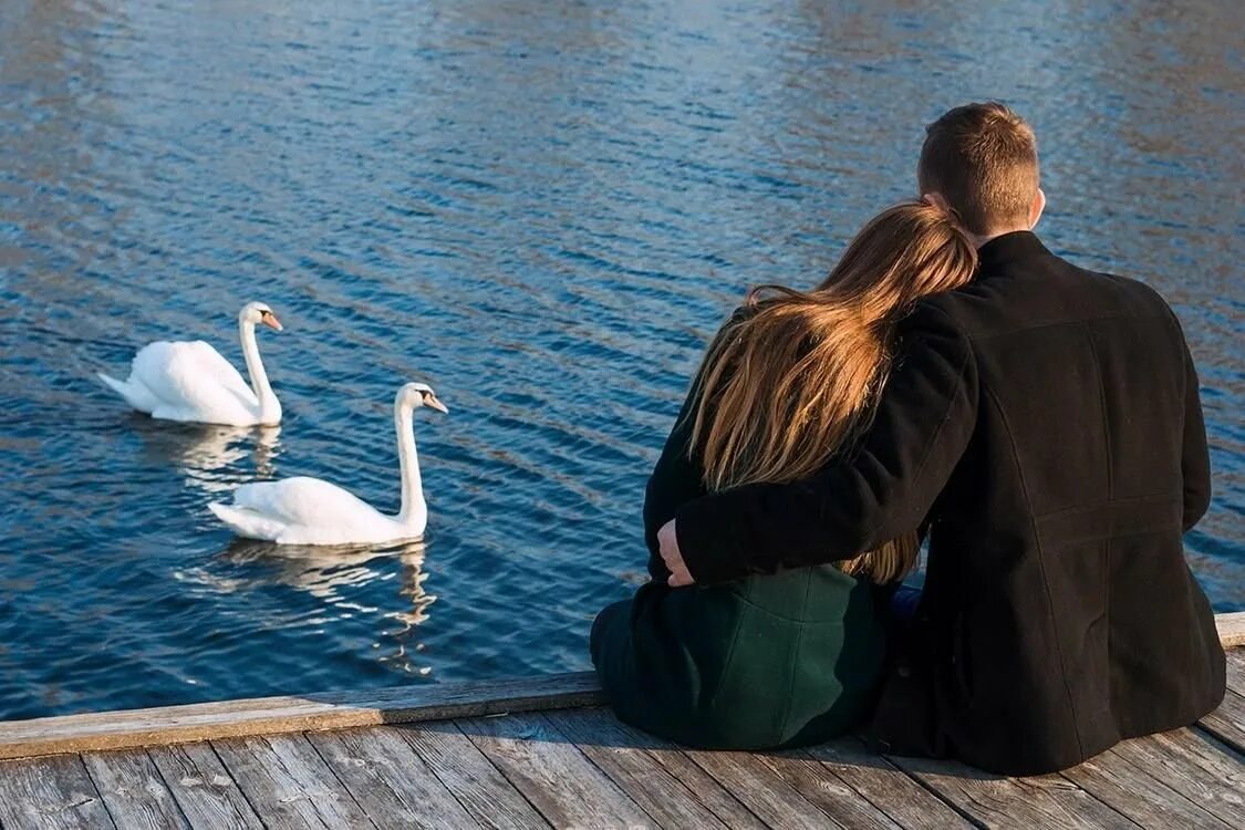 Верность и независимость. Влюбленные лебеди. лебеди и пара влюбленных. любовь и верность. любовь и лебеди муж и жен.