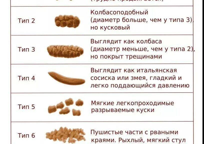 После твердого стула. Норма кала при введении прикорма.