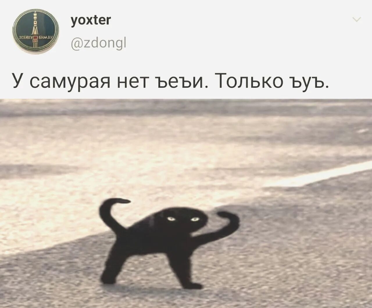 У самурая нету цели есть только. У самурая нет ъеъи только ъуъ. у самурая нет цели только кот. ъуъ мем кот оригинал. ъуъ съука.
