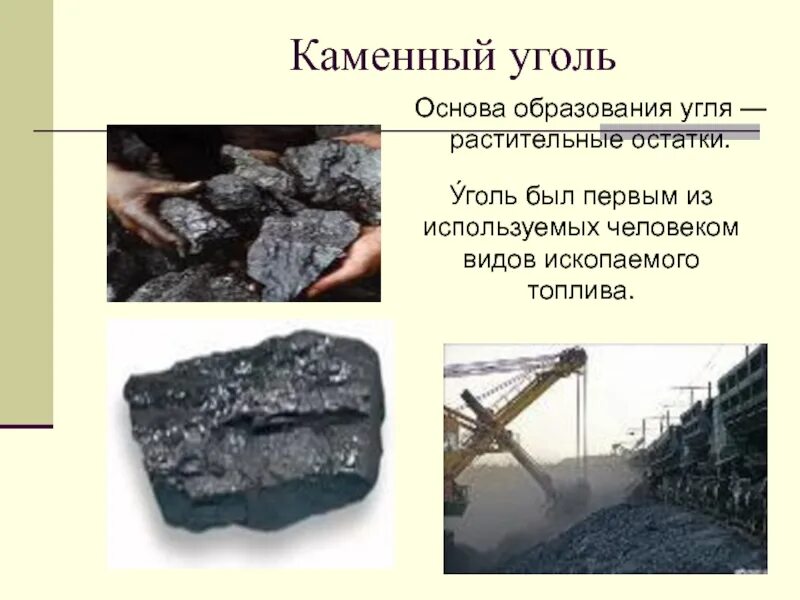 В древности образовали залежи каменного угля. Каменный уголь. Каменный уголь образовался из. Образование каменного угля. Появление каменного угля на земле.