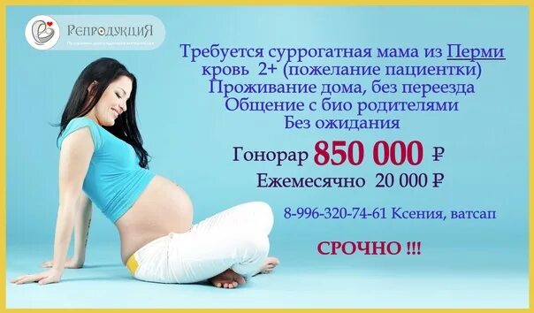 Услуги суррогатной мамы. Стоимость суррогатного материнства. Сколько заработает суррогатная мама. Суррогатная мать. Сколько заработает суррогатная мама.