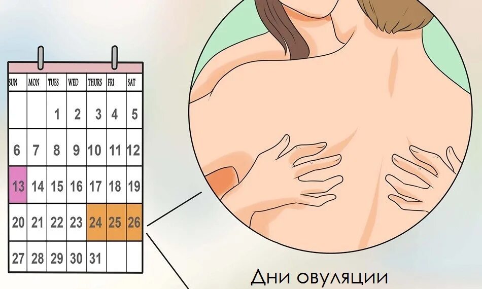 Что такое овуляция у девушек. Что такое овуляция у девочек. что такое овуляция у женщин простыми словами. что такое овуляция простыми словами у подростка.