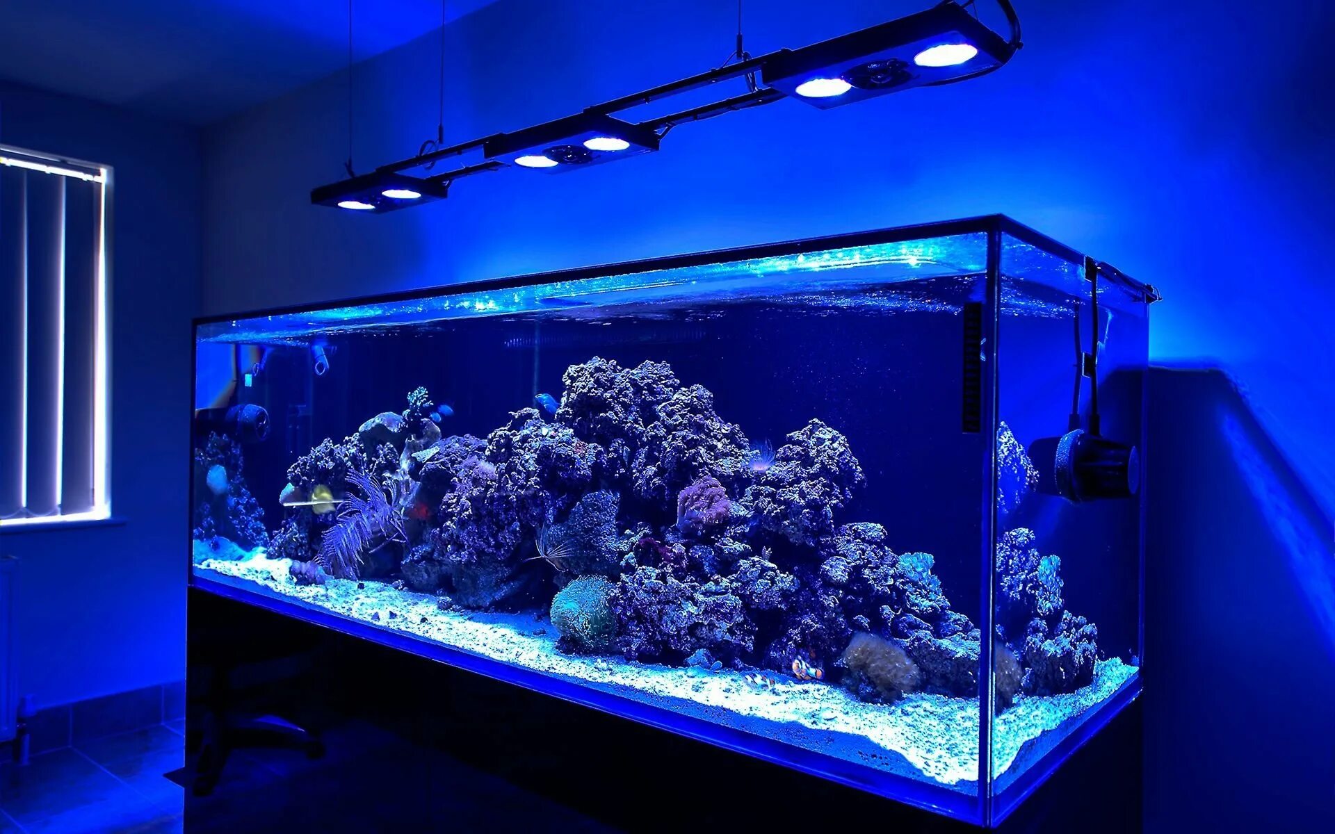 Аквариум (fish tank) 2009. Аквариум с синим грунтом. Метиленовый синий для аквариума. Аквариум цихлидник черный грунт. Аквариум пустой.