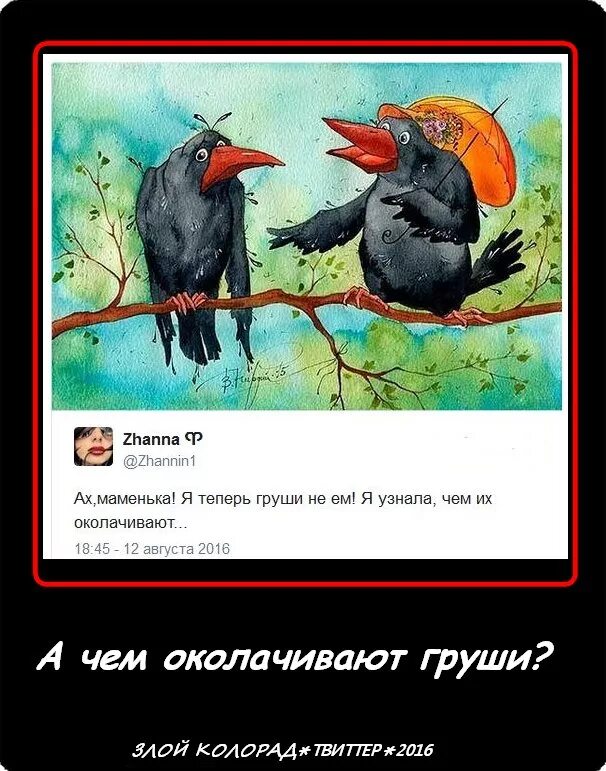 Груши околачивать. Анекдот про грушу. Чем околачивают груши. Выражение груши околачивать.