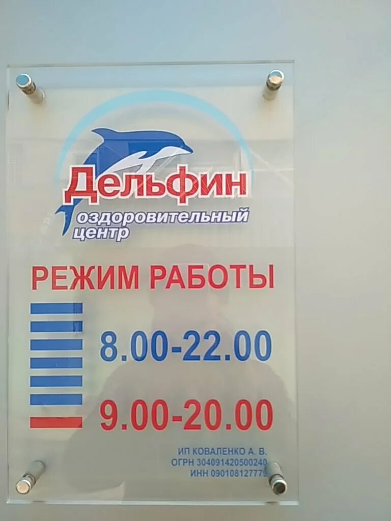 Дельфин черкесск