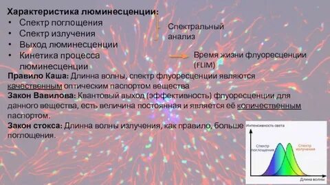 Выход люминесценции